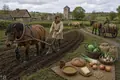 Horses Begin Replacing Oxen in European Agriculture