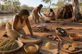 Aboriginal Grain Harvesting and Seed Cakes