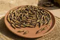 Dried okra