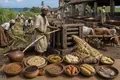 Sugar Barbados