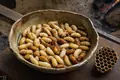 Bee or wasp larvae