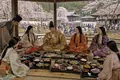 Toyotomi Hideyoshi's Grand Daigo Flower-Viewing Feast