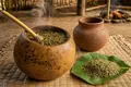 Yerba mate