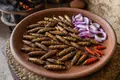 Fried long-horned grasshoppers