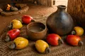 Mozambican nipa