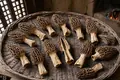 Dried morels