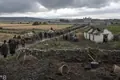 Irish Great Famine