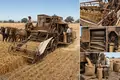 Mechanical Harvesting Becomes a Combine