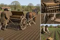 The Seed Drill Places Grain in Ordered Rows