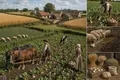 The Norfolk Four-Course Rotation Reorganizes the Farm