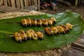 Peruvian palm-weevil larvae