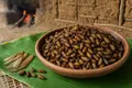 Fried winged termites