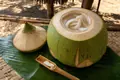 Young coconut drink
