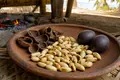 Nangai (galip) nut