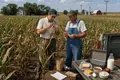 Southern Corn Leaf Blight Strikes U.S. Maize