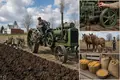 The Gasoline Tractor Replaces Animal Draft Power