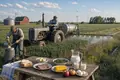 Synthetic Pesticides Become a Pillar of High-Yield Farming