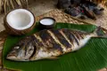 Nauruan grilled reef fish