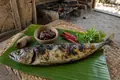 Timorese grilled fish