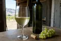 New Zealand Sauvignon Blanc