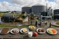 Anaerobic Digestion Turns Food Waste into Energy