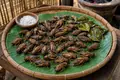 Fried crickets