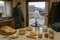 Foot-and-Mouth Disease Halts British Livestock Movement