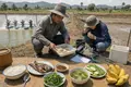 Shrimp Disease Exposes Aquaculture Vulnerability