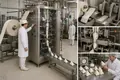 Aseptic Packaging Enables Shelf-Stable Milk