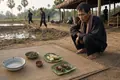 Cambodian Famine under the Khmer Rouge