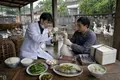 H5N1 Avian Influenza Emerges in Domestic Geese