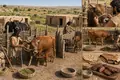 Cattle Domestication at the Fertile Crescent