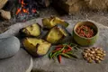 Domesticated chili peppers