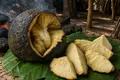 Breadfruit