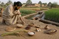 Rice Reaches Mesopotamia