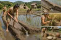 Yayoi Wet Rice Paddies Reach Northern Kyushu